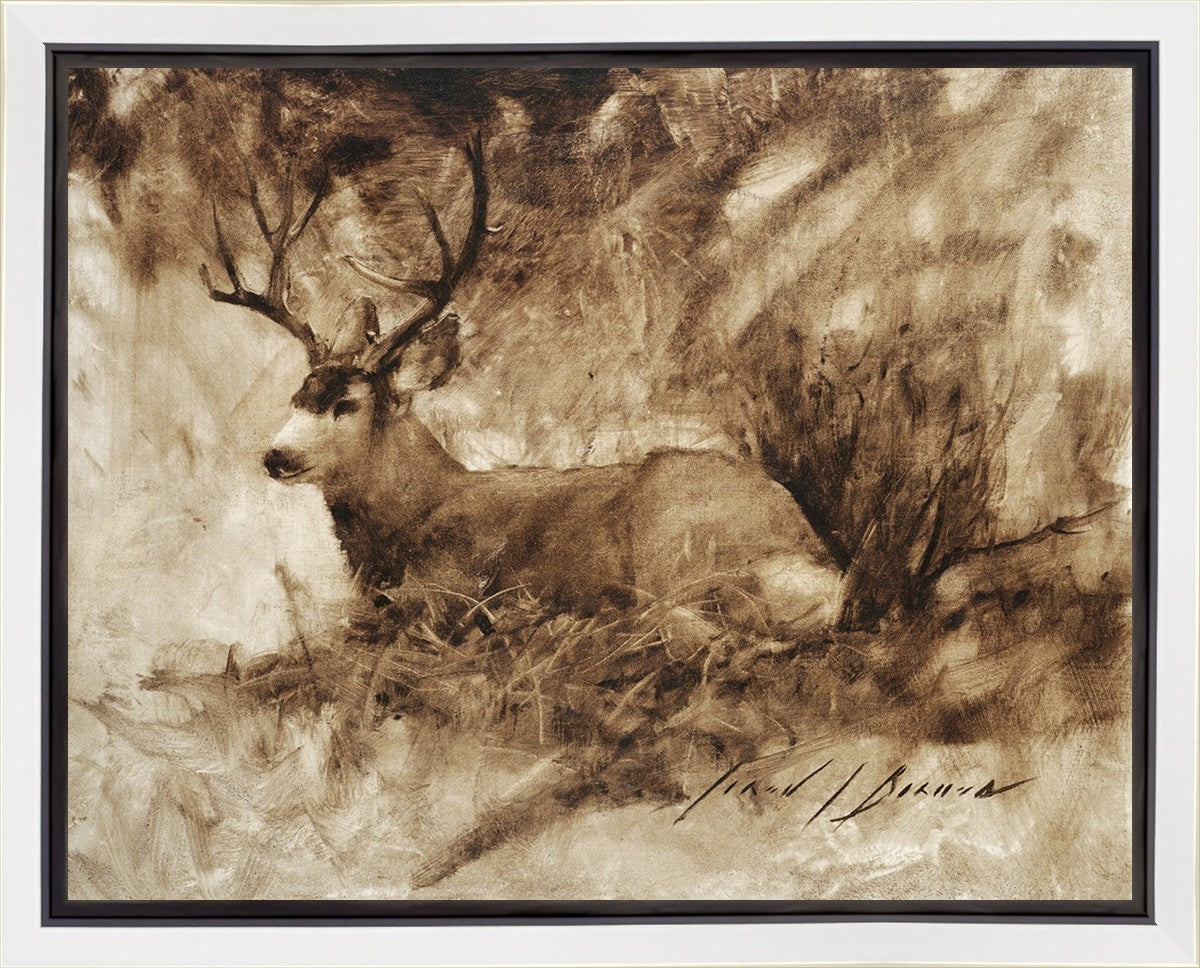 Bedded Buck