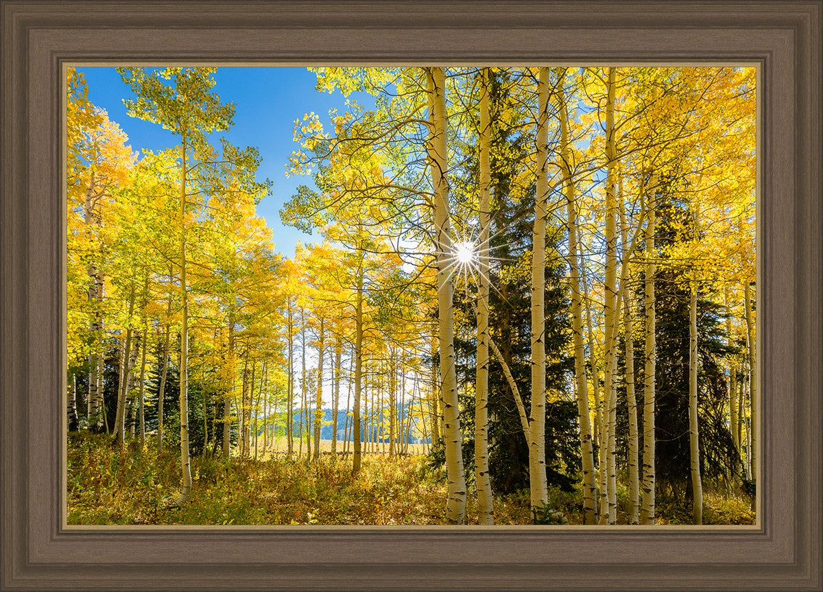 Autumn in the Rocky Mountains, Wasatch National Forest, Utah