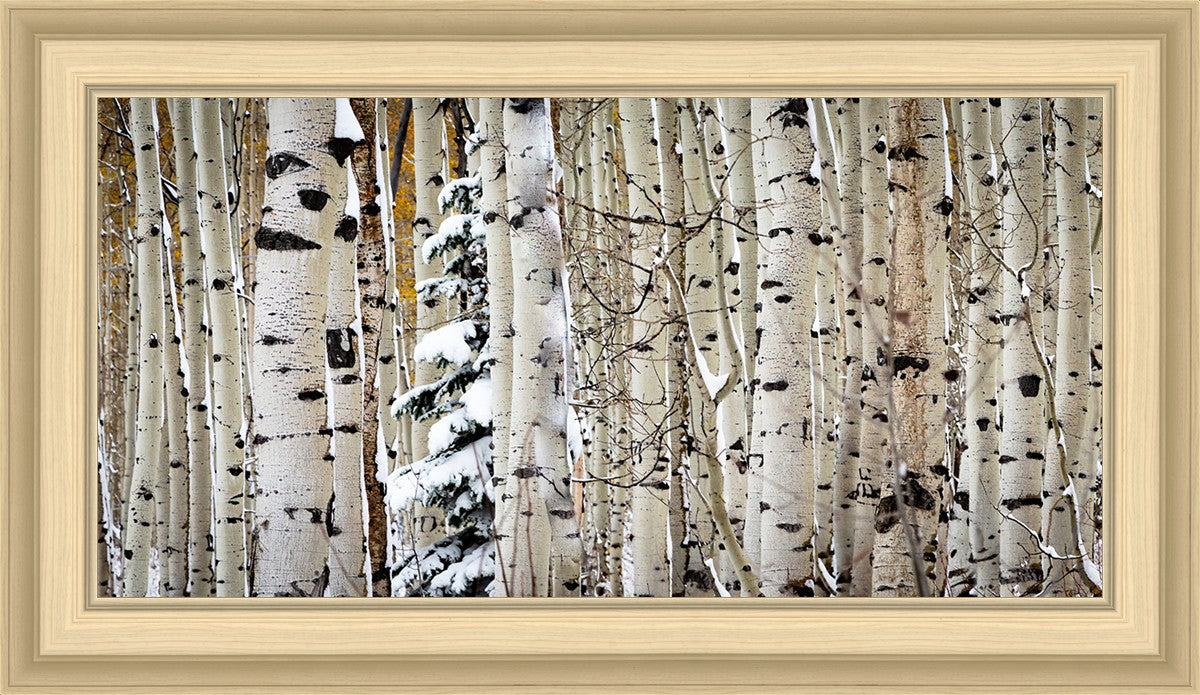 Christmas Around the Corner, Guardsman Pass, Park City, Utah