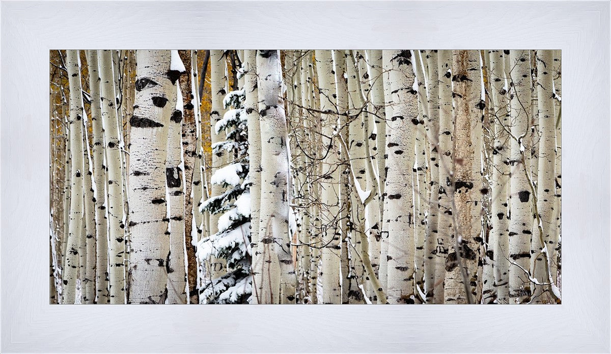 Christmas Around the Corner, Guardsman Pass, Park City, Utah