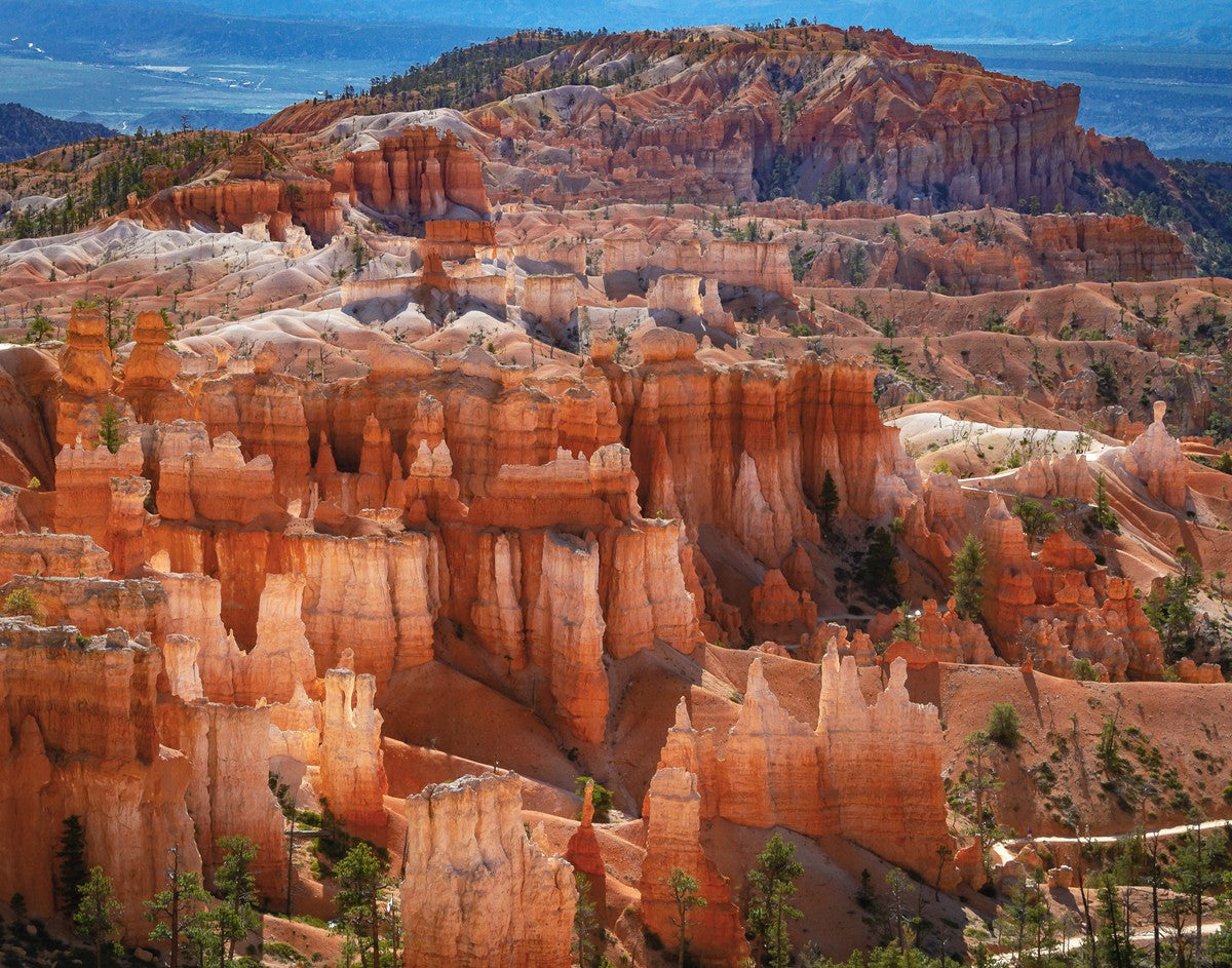 The Hoodoos of Bryce Canyon National Park, Utah