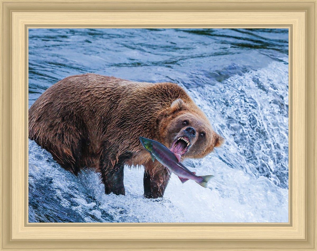 Catch of the Day