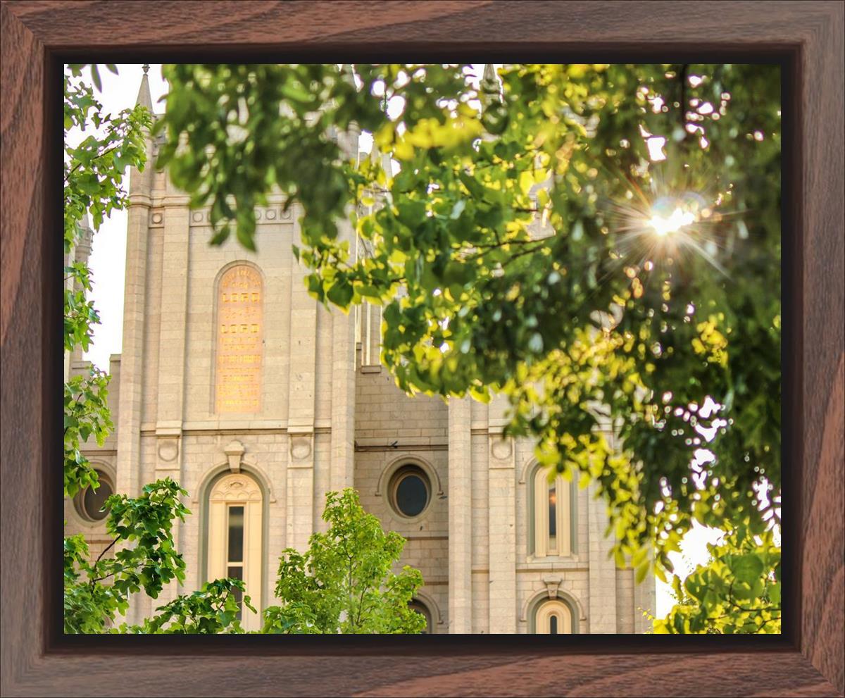 Salt Lake Brilliant Light