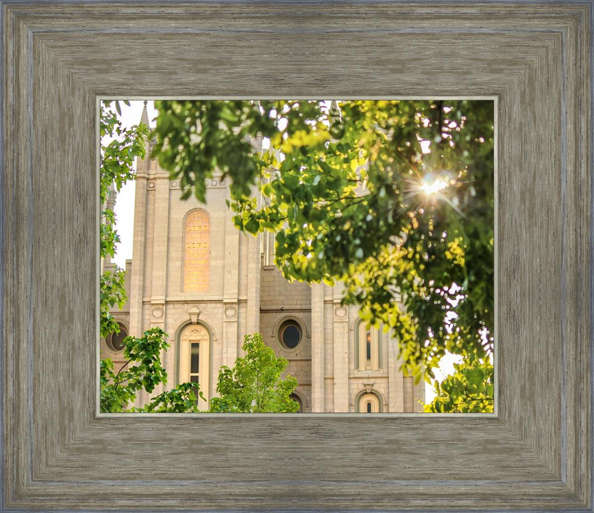 Salt Lake Brilliant Light