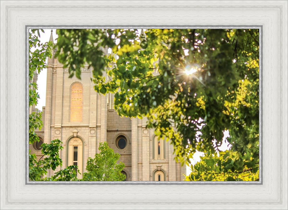 Salt Lake Brilliant Light