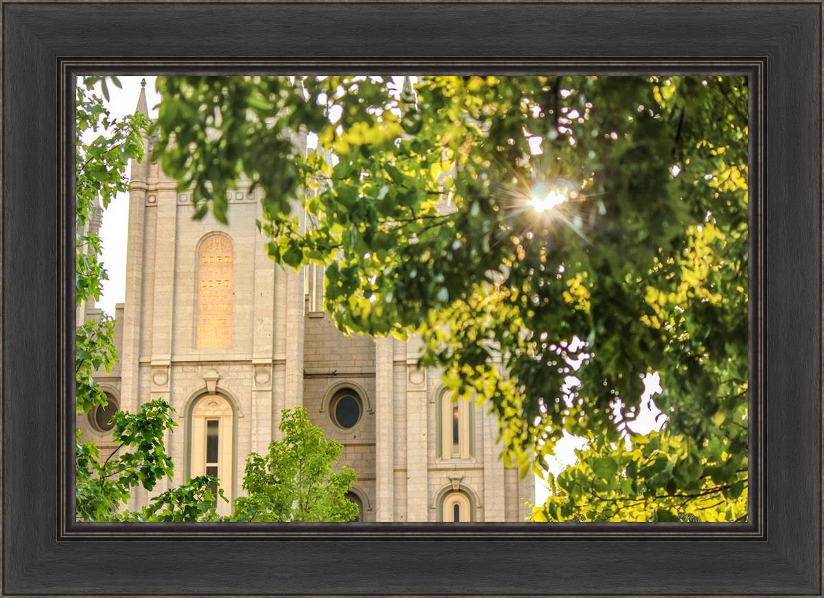 Salt Lake Brilliant Light