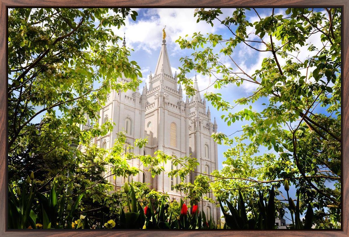 Salt Lake Glimpse of Eternity
