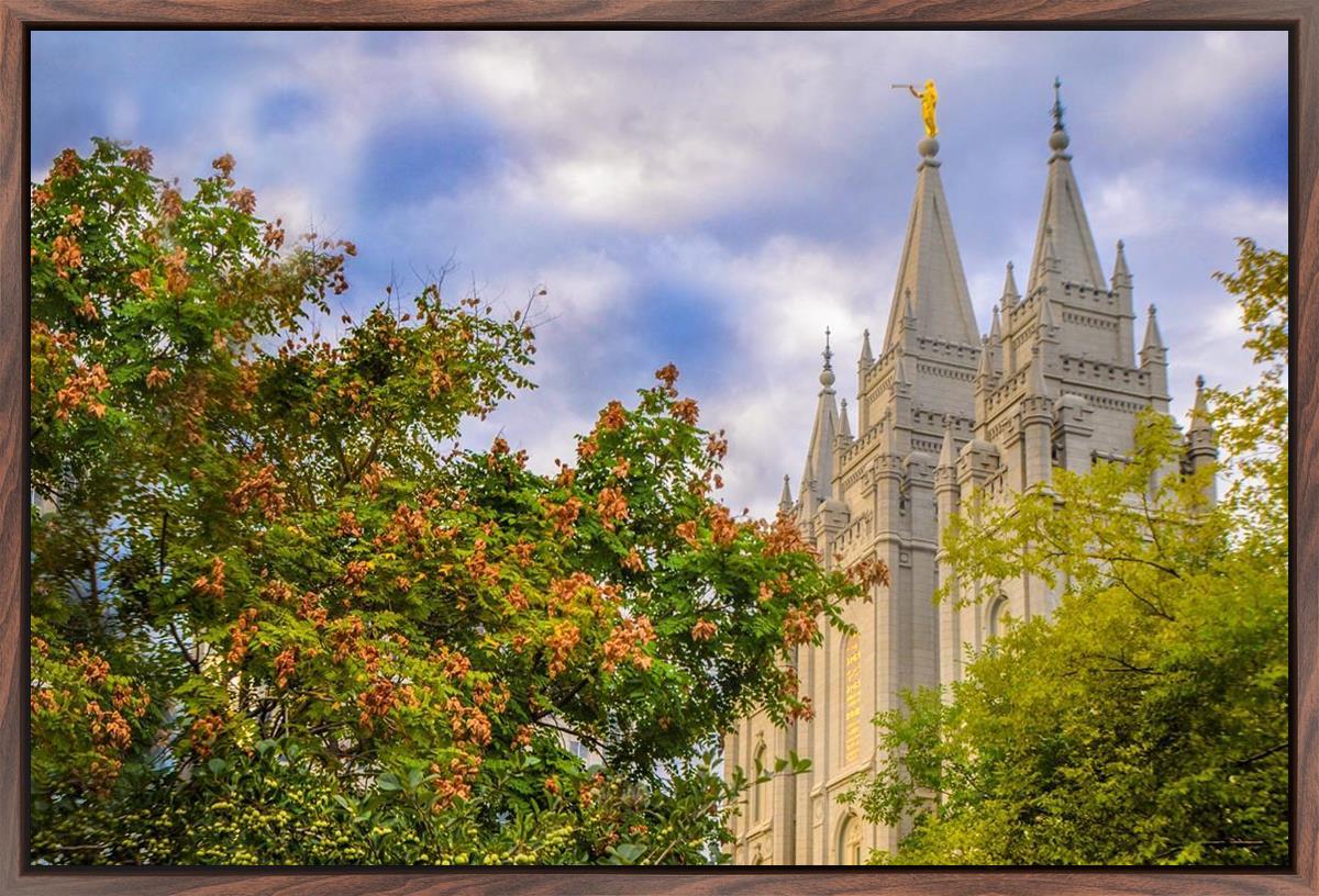 Salt Lake City Temple Autumn Leaves
