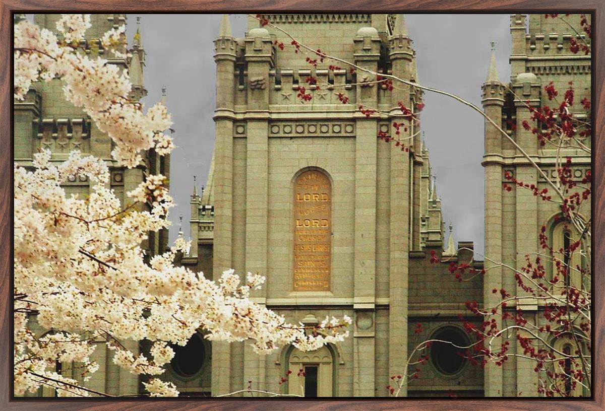 Salt Lake City Temple The Promise