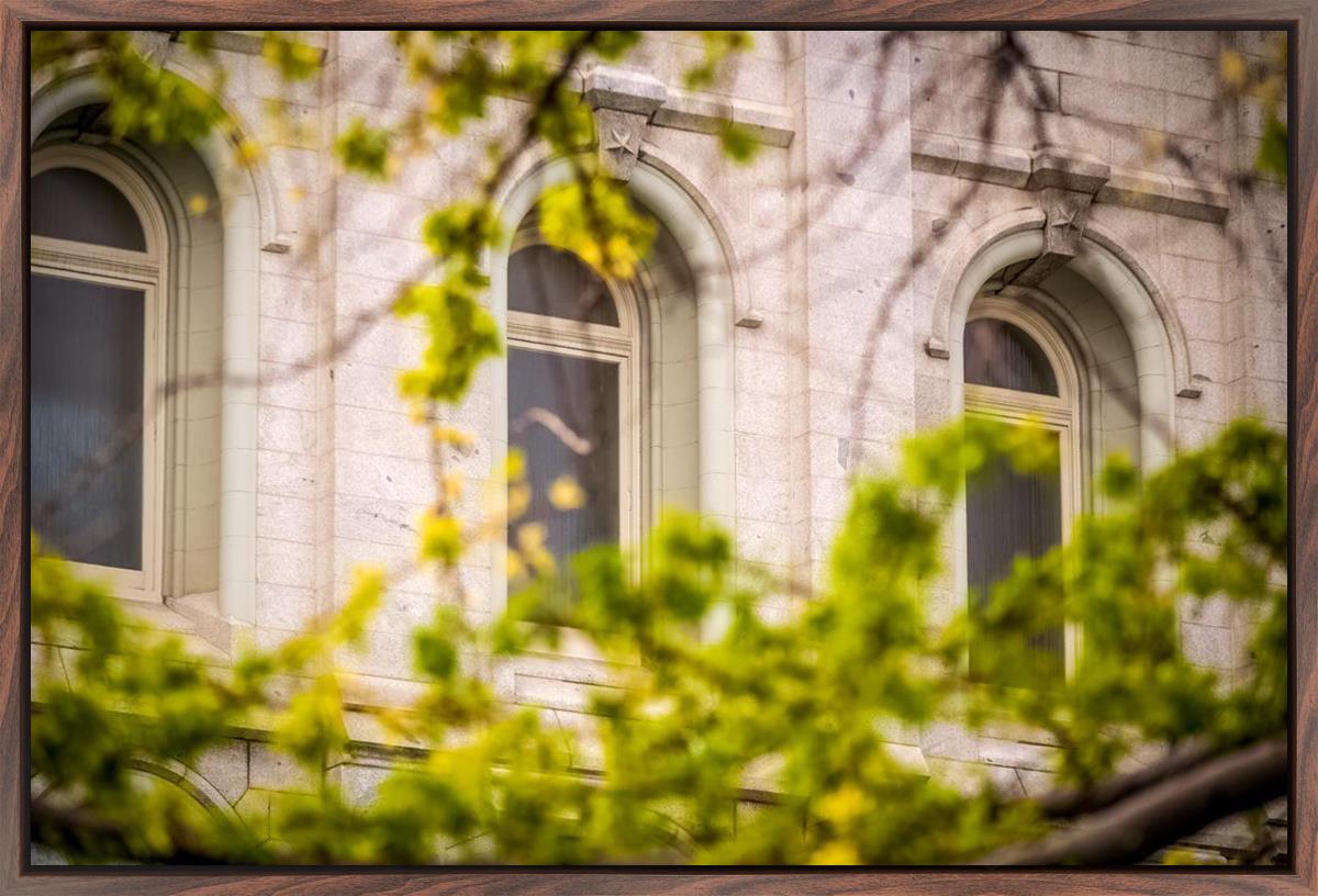 Salt Lake City Temple Windows Of Eternity