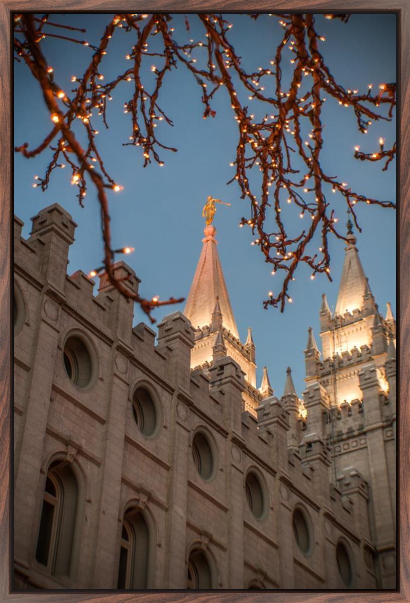 Salt Lake City Temple He Giveth Light