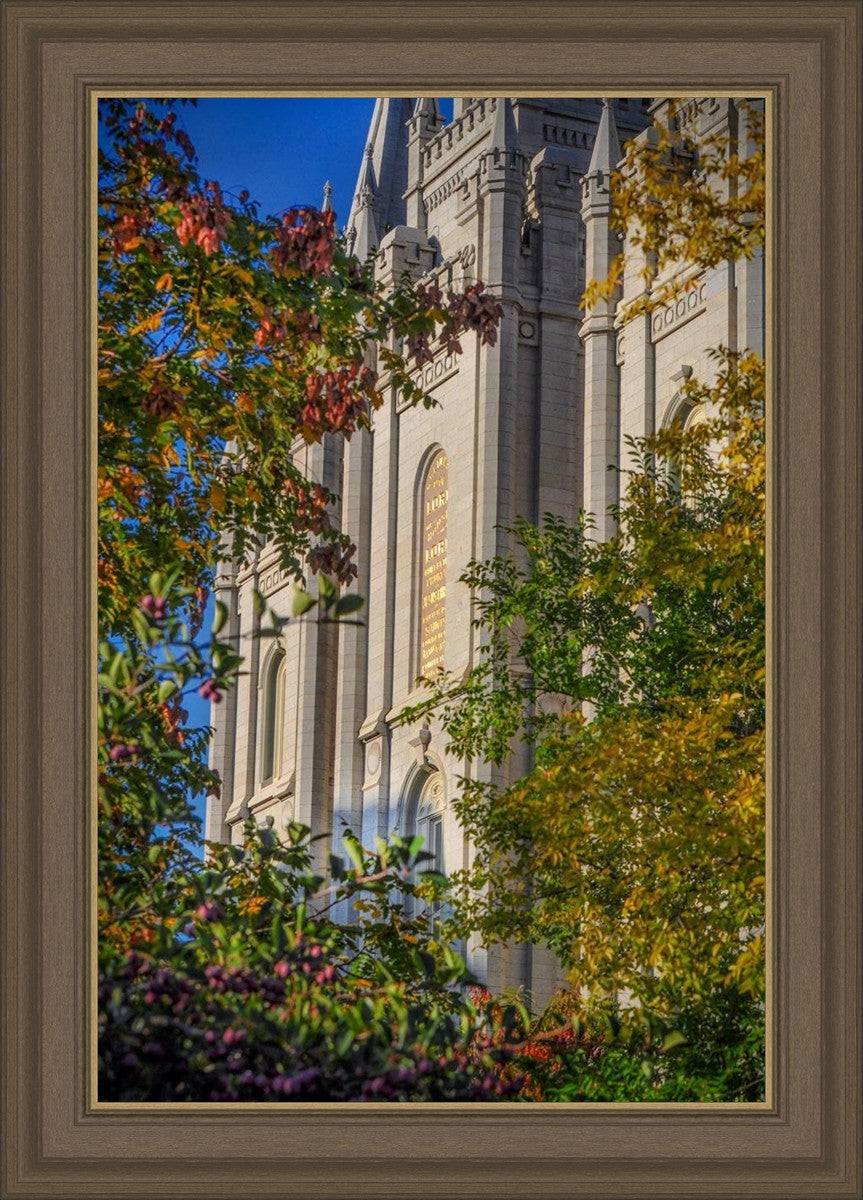 Salt Lake City Temple His Declaration