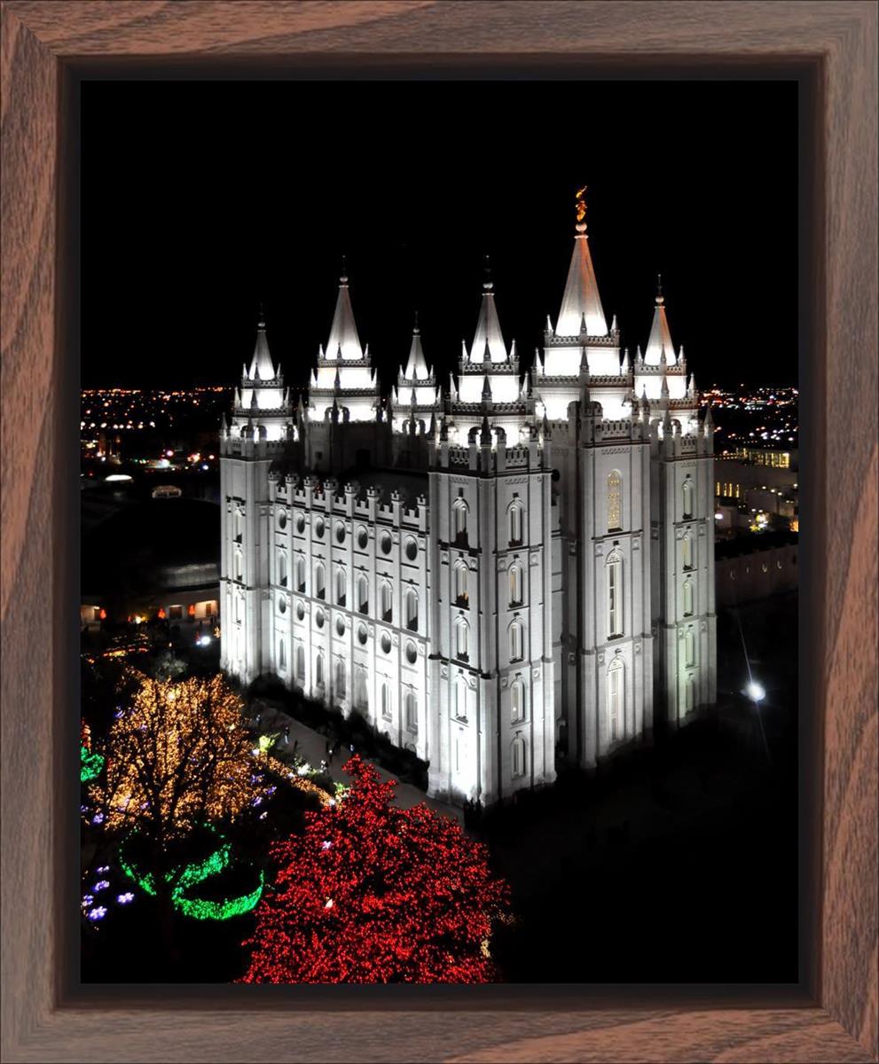 Salt Lake City Temple Wondrous Perspective