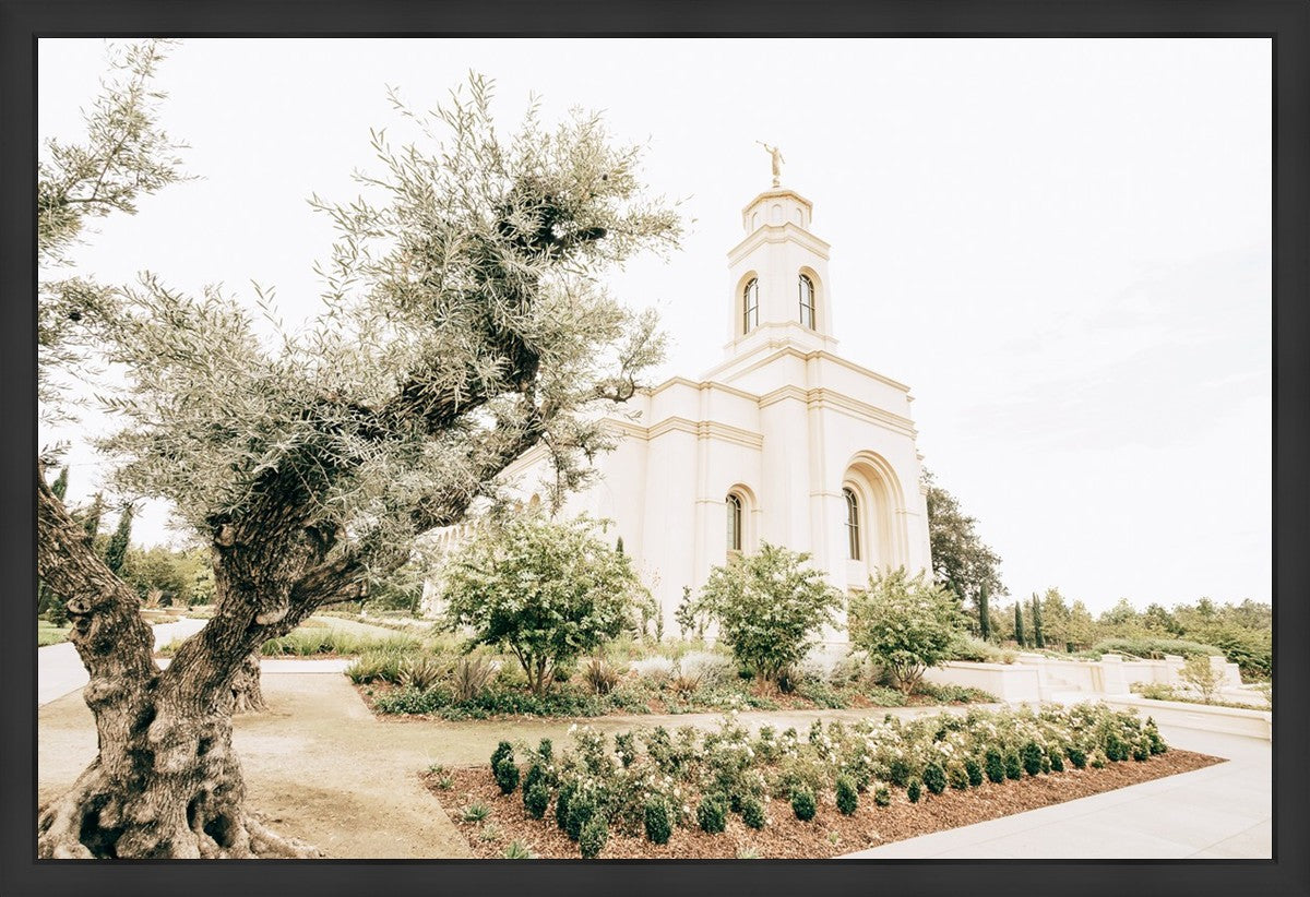 Sweet is The Work Feather River California Temple Large Wall Art