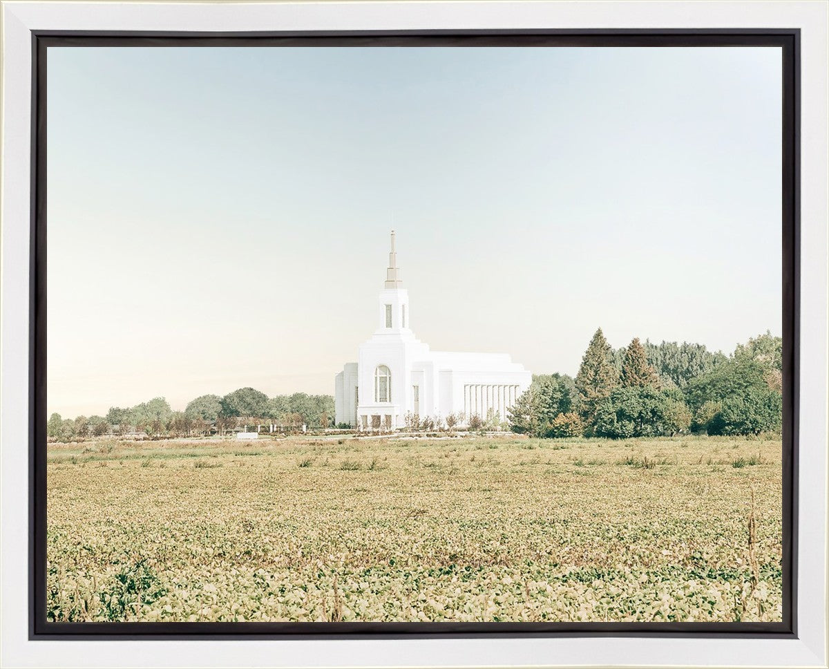 Burley Idaho Immaculate Embrace Blue