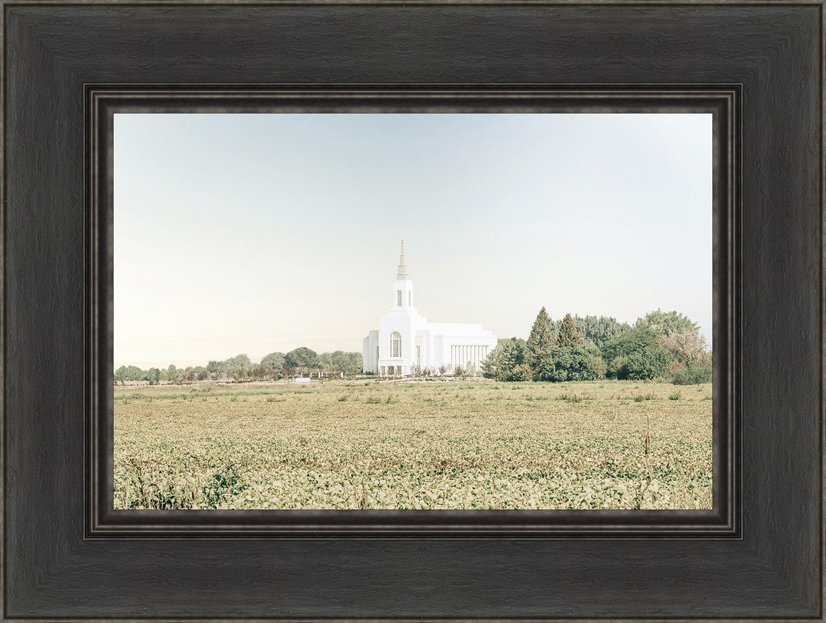 Burley Idaho Immaculate Embrace Blue