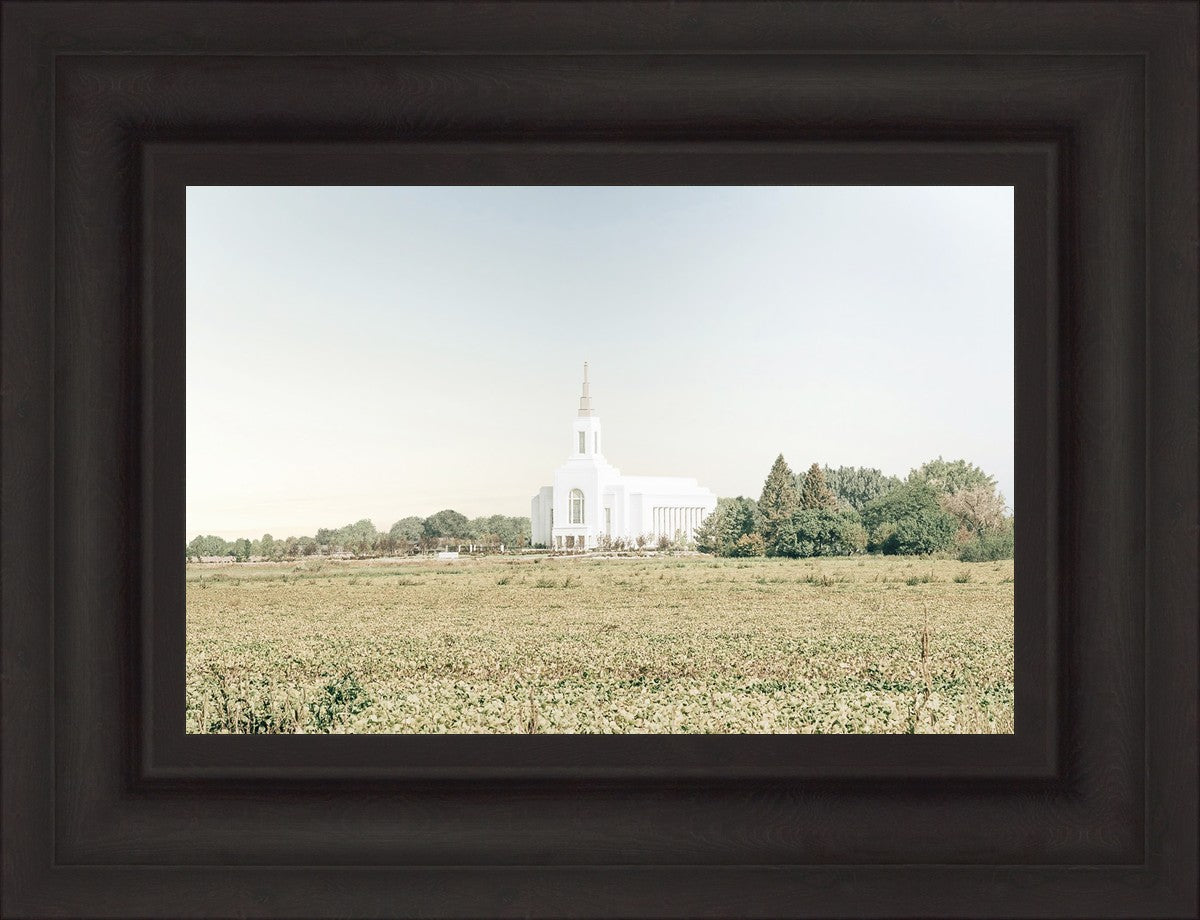 Burley Idaho Immaculate Embrace Blue