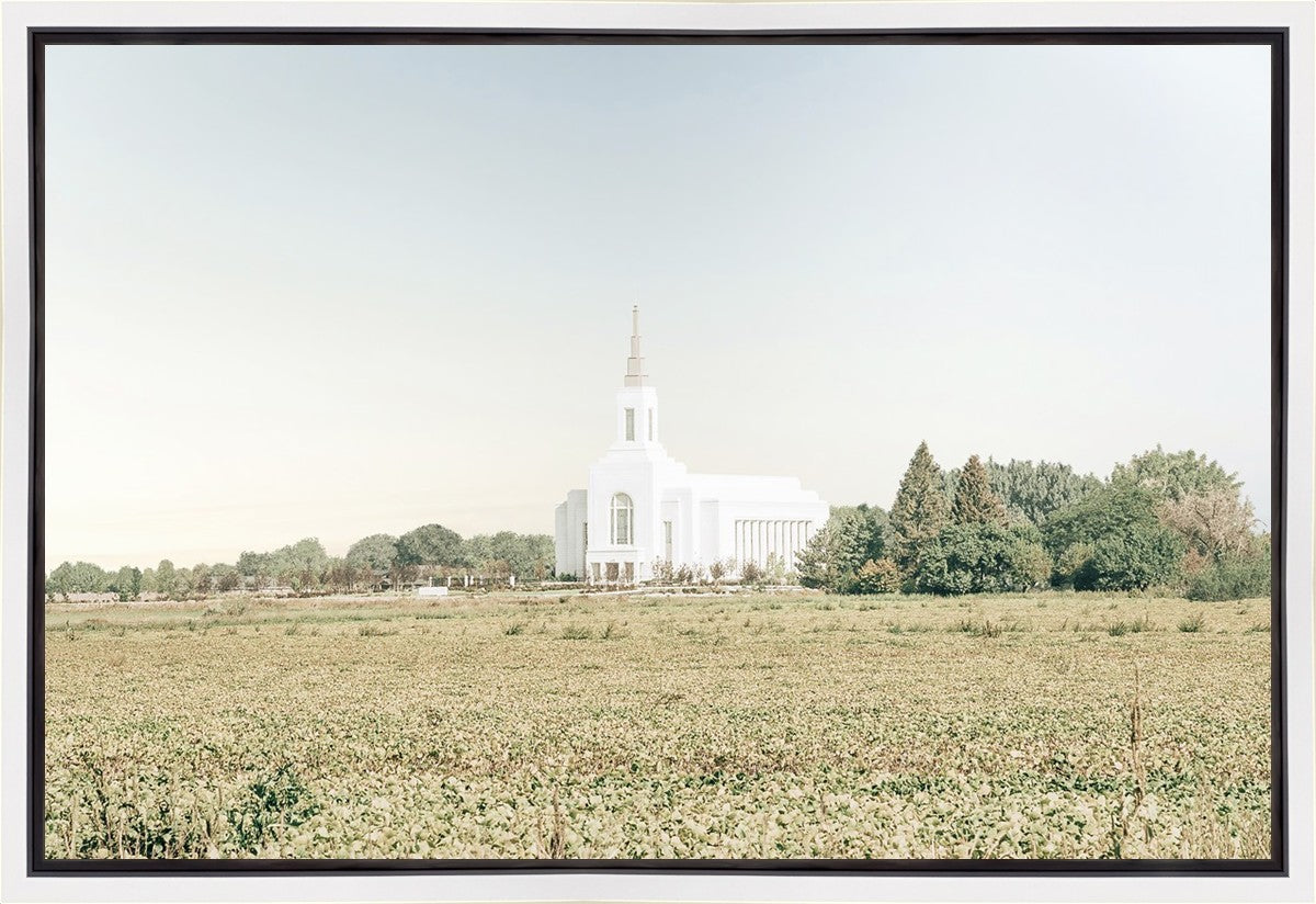 Burley Idaho Immaculate Embrace Blue