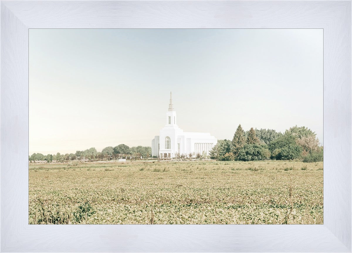 Burley Idaho Immaculate Embrace Blue