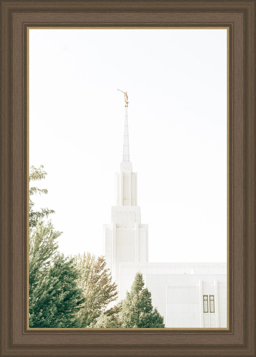 Twin Falls Idaho Celestial View