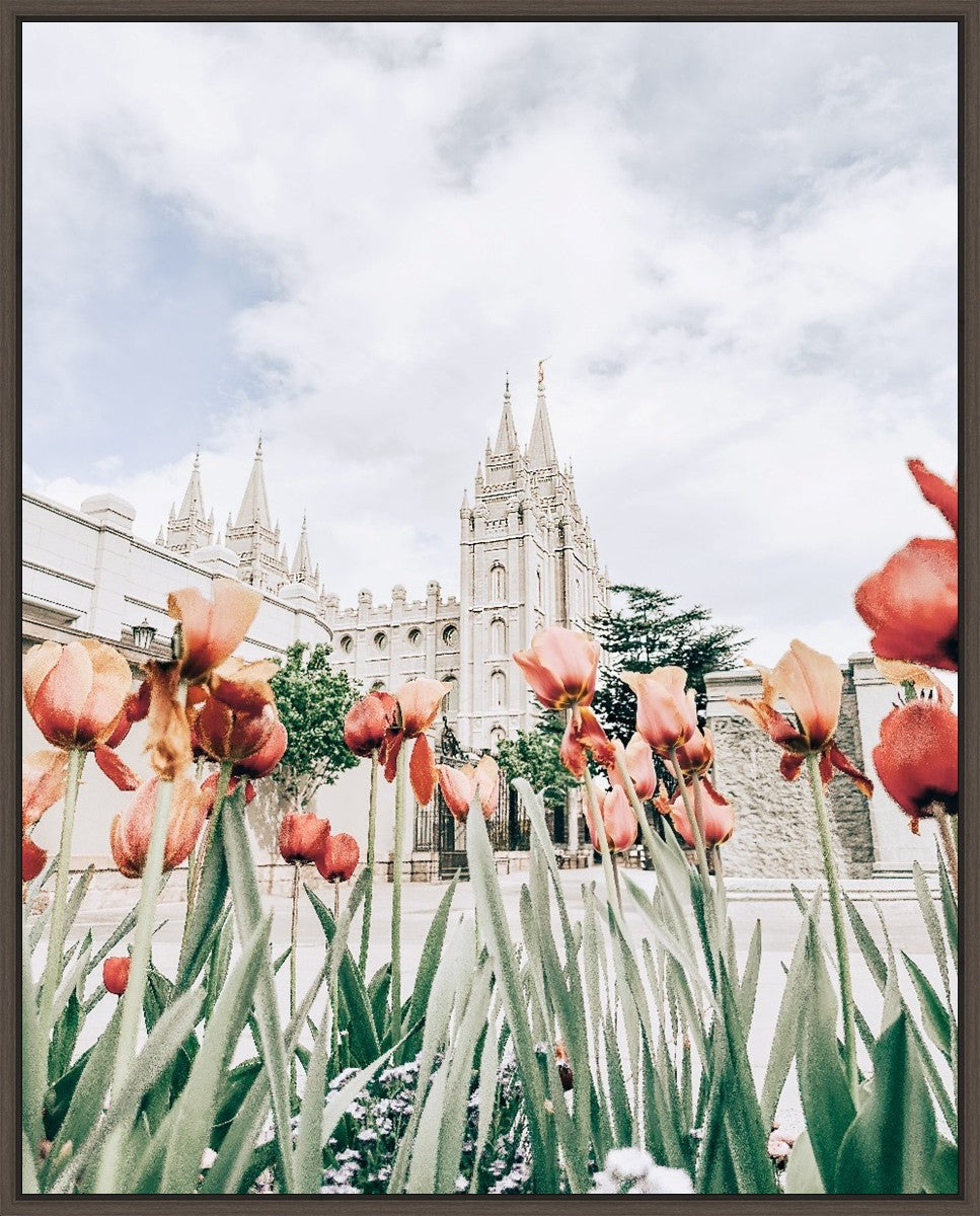 Salt Lake City Utah Serenity