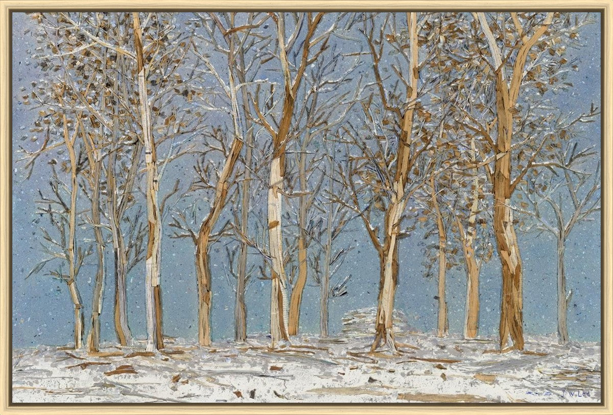 Winter Woods