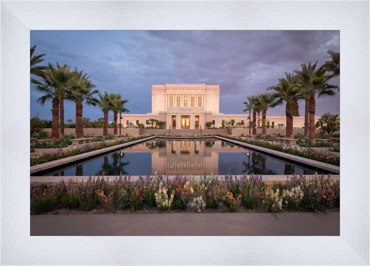 Mesa Arizona Summer Nights Dream