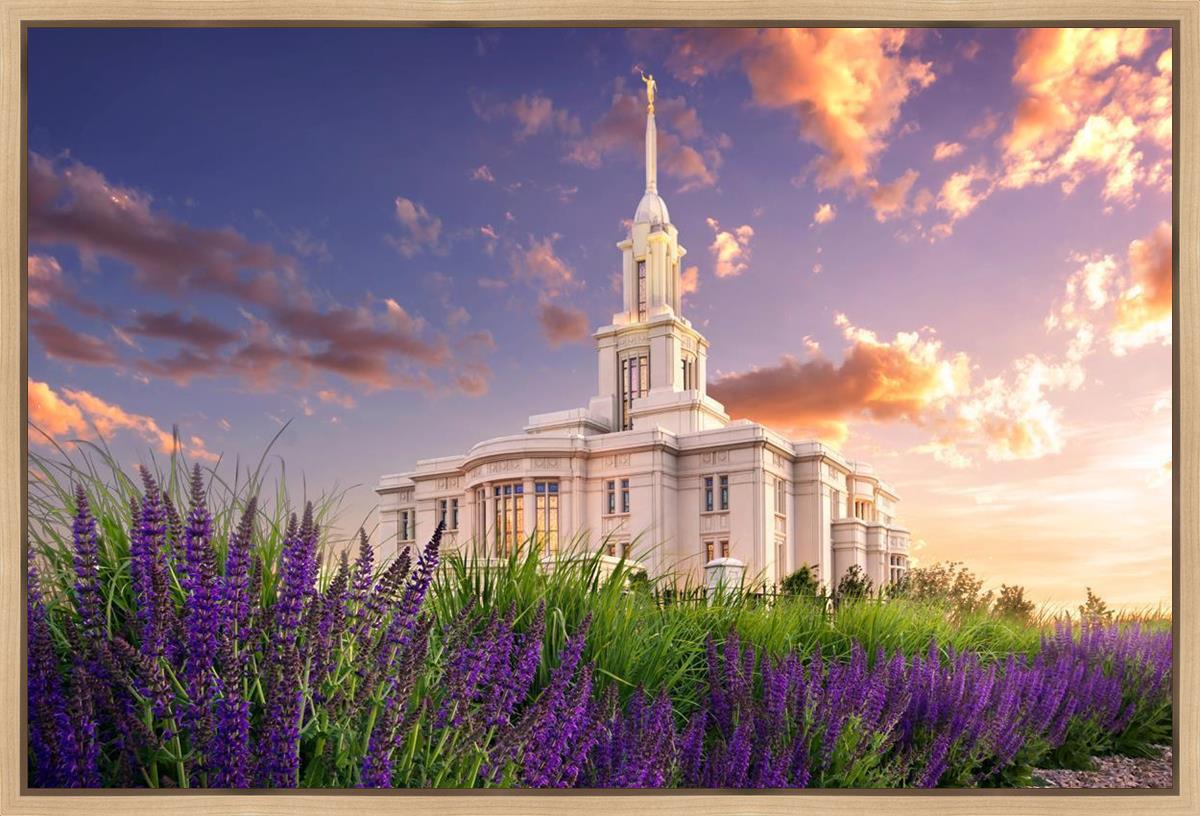 Payson Temple Blooming Lavender