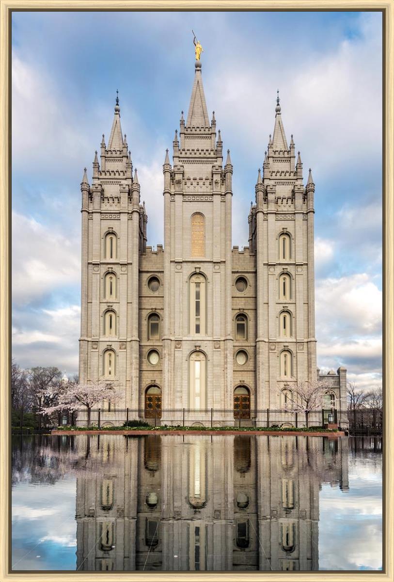 Salt Lake Reflecting Eternity