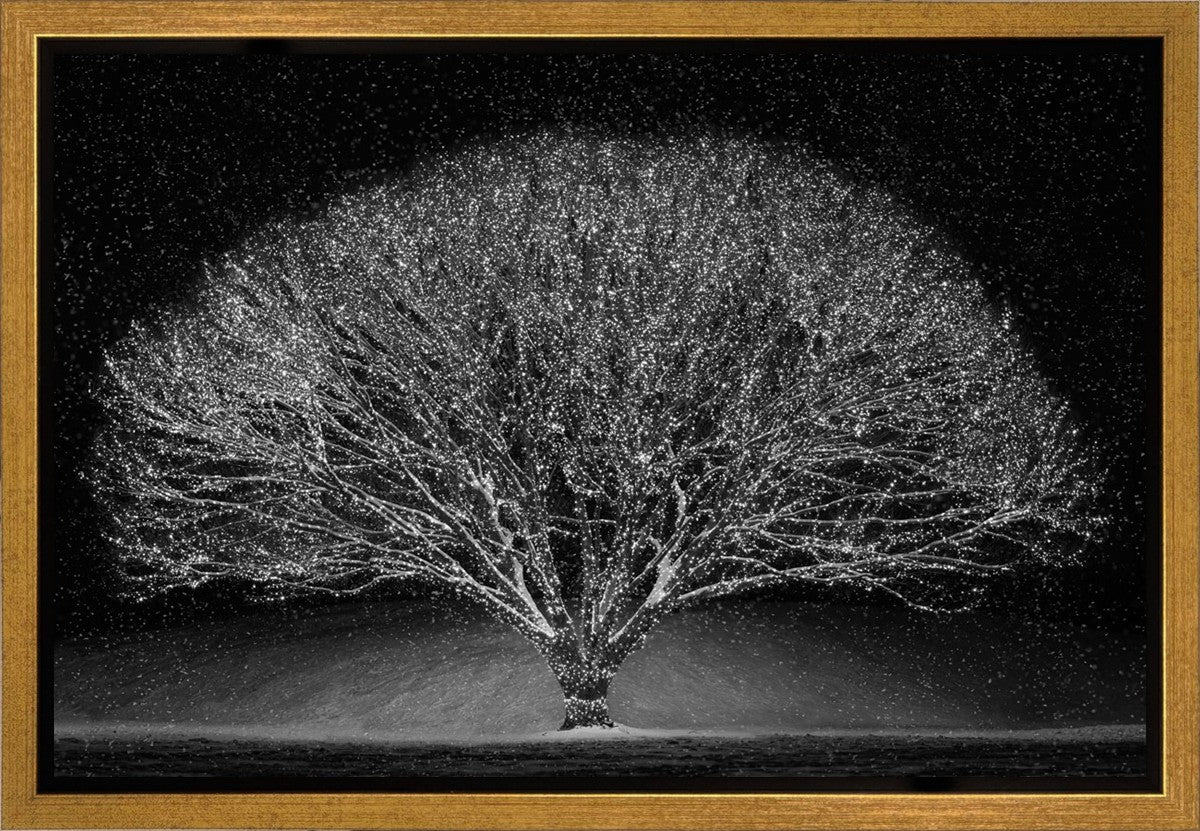 Winter Wonderland Gallery Wrap