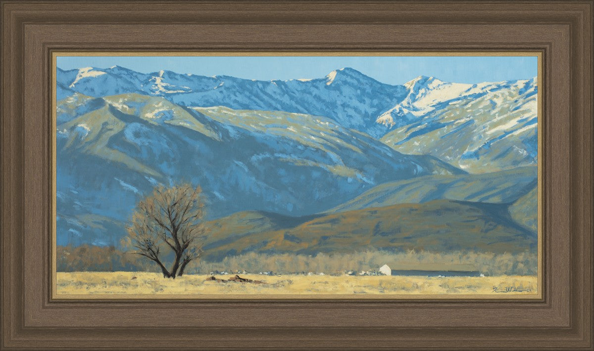 Midway Vista