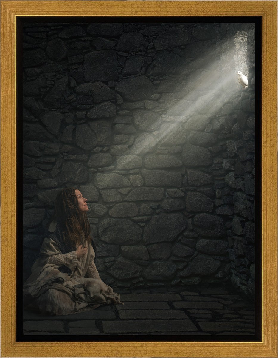 A Captive's Hope