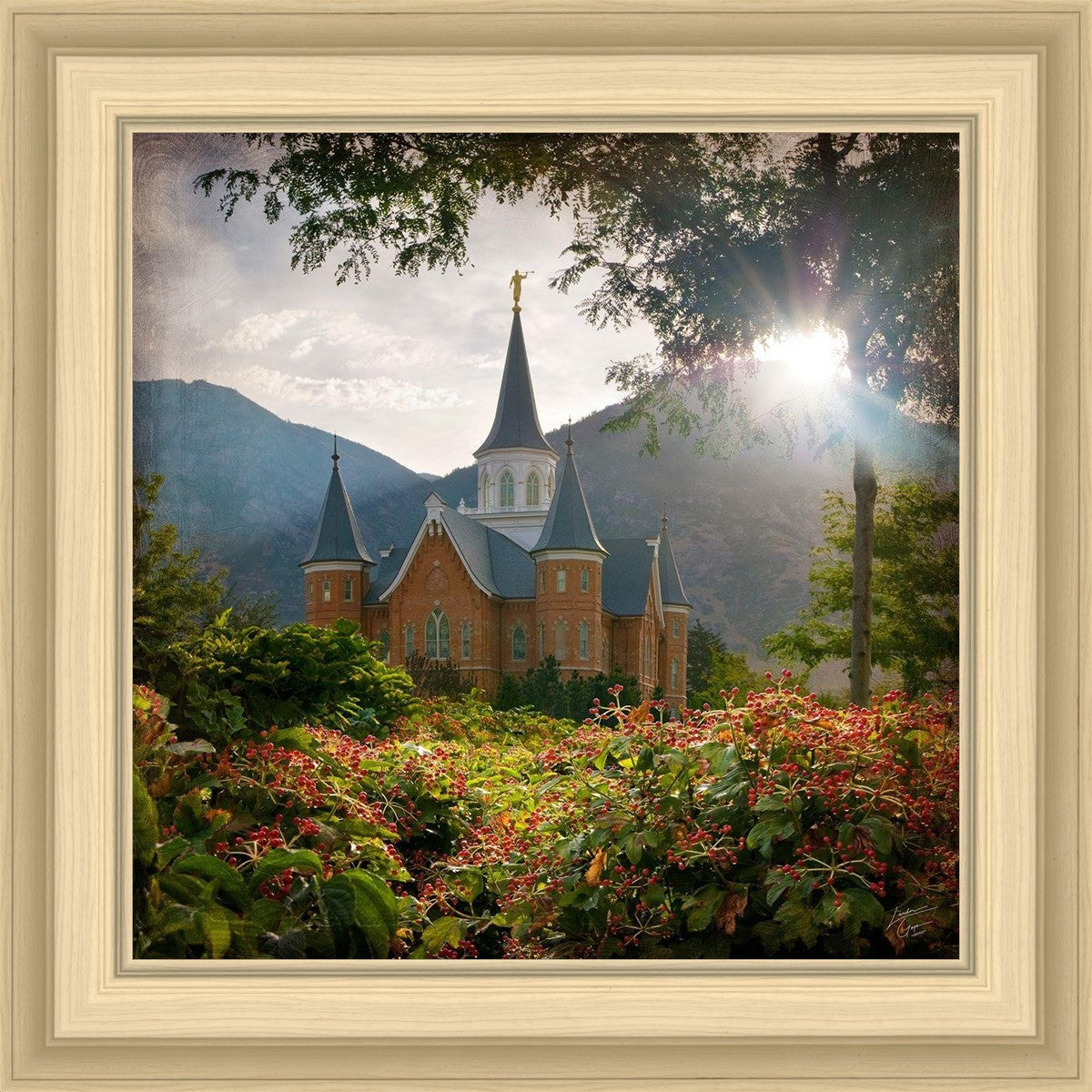 Provo CC Brightness and Glory