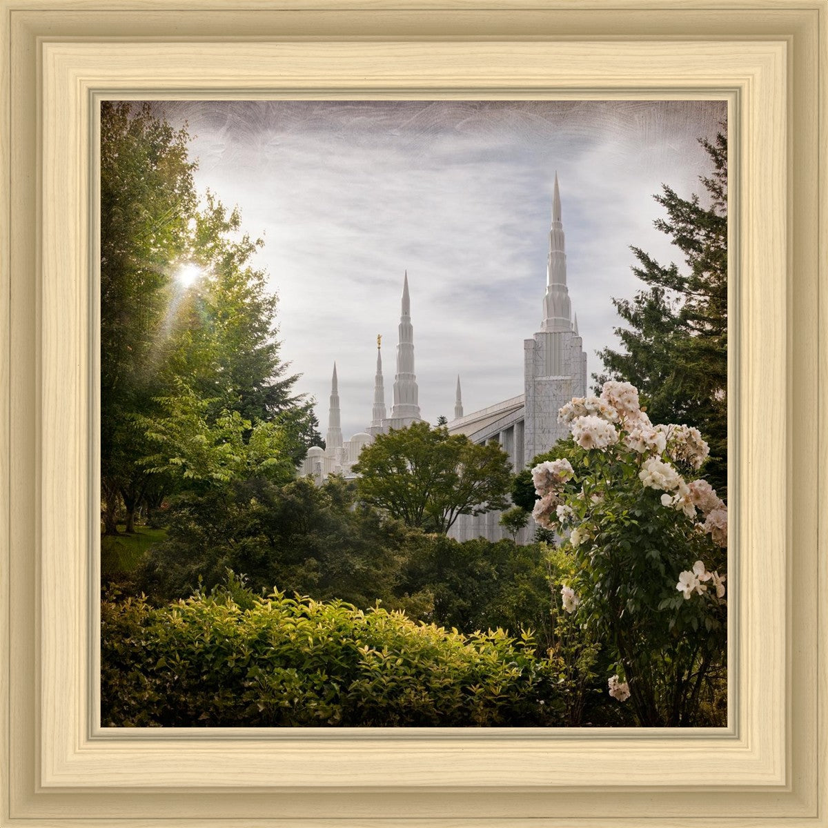 Portland Brightness and Glory