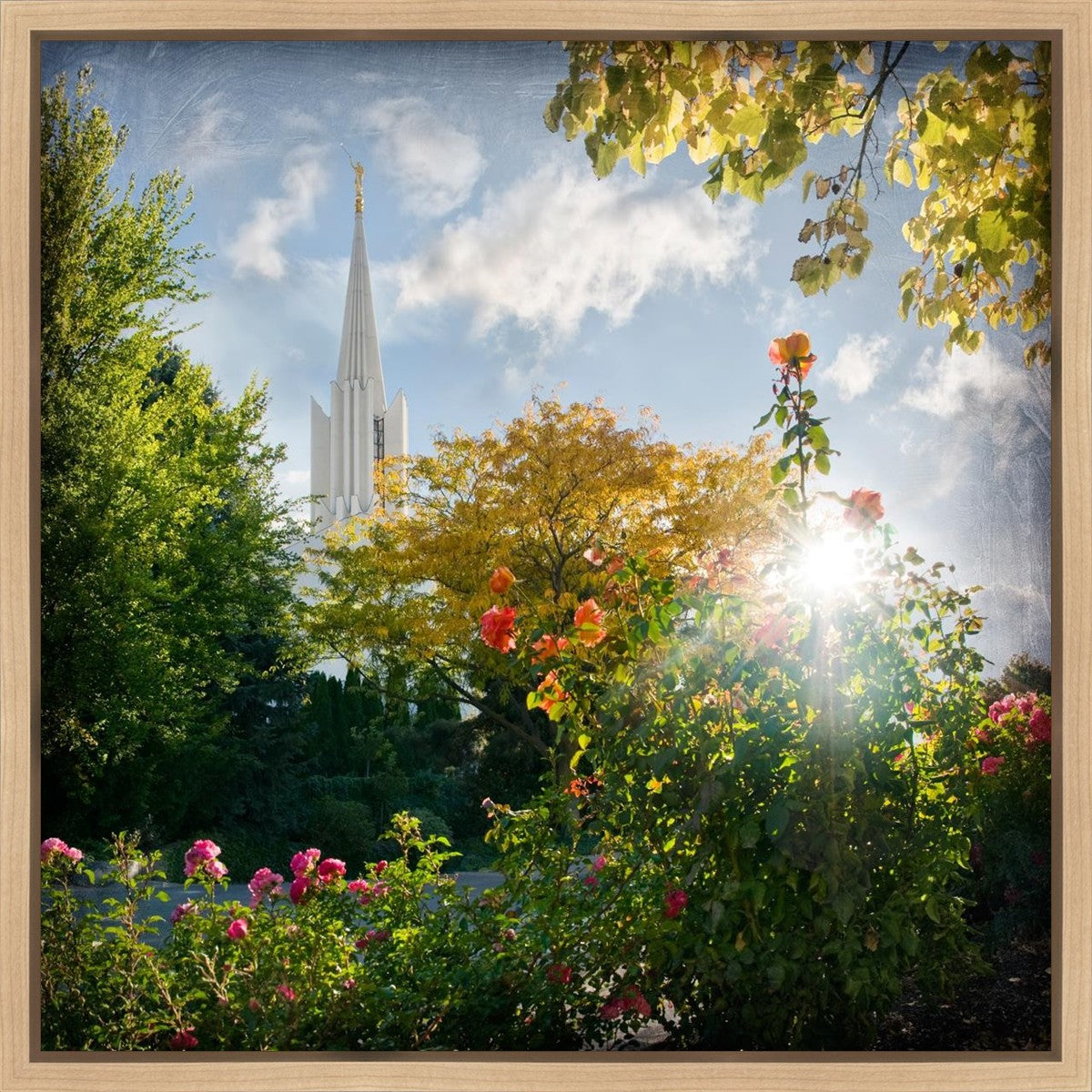 Jordan River Brightness and Glory