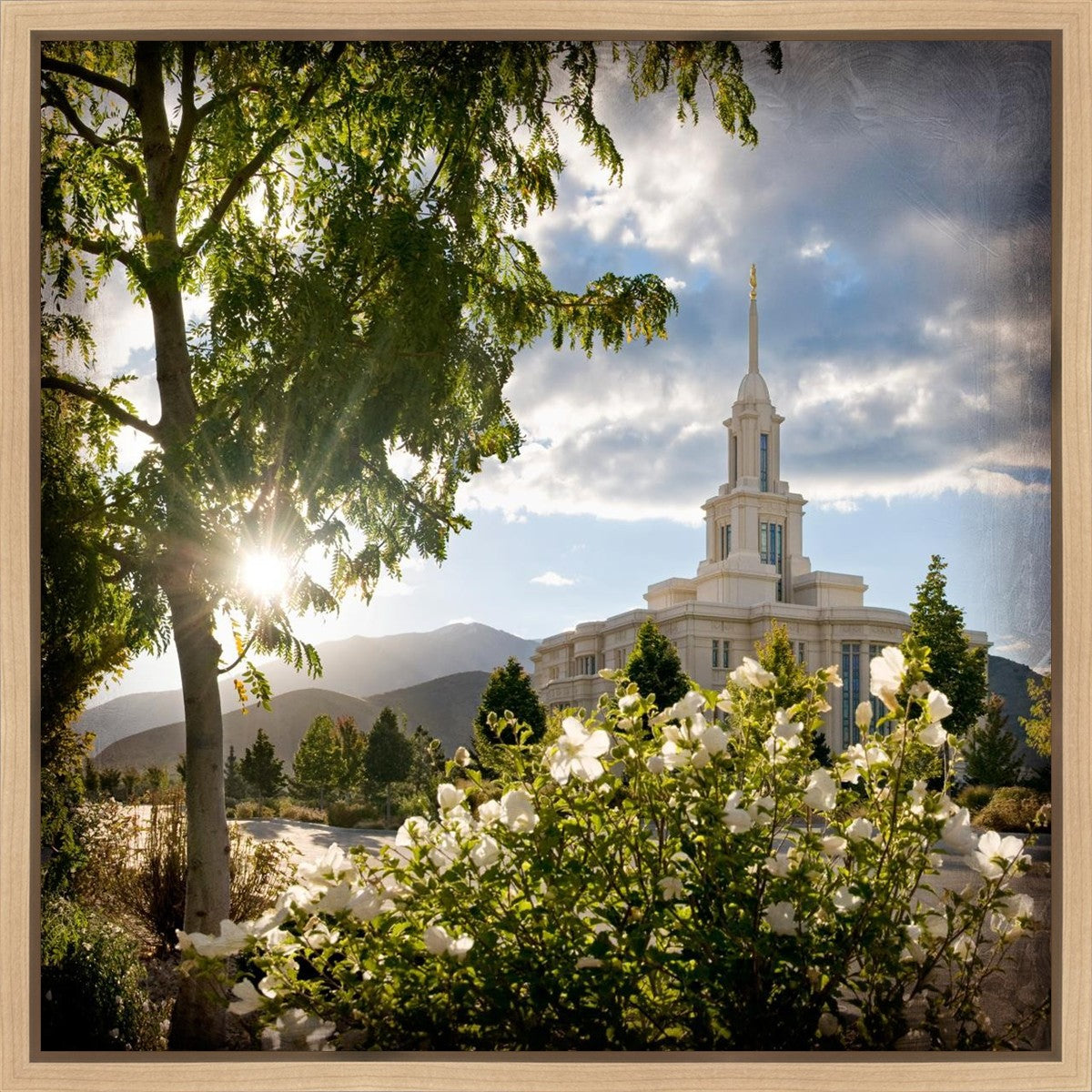 Payson Brightness and Glory