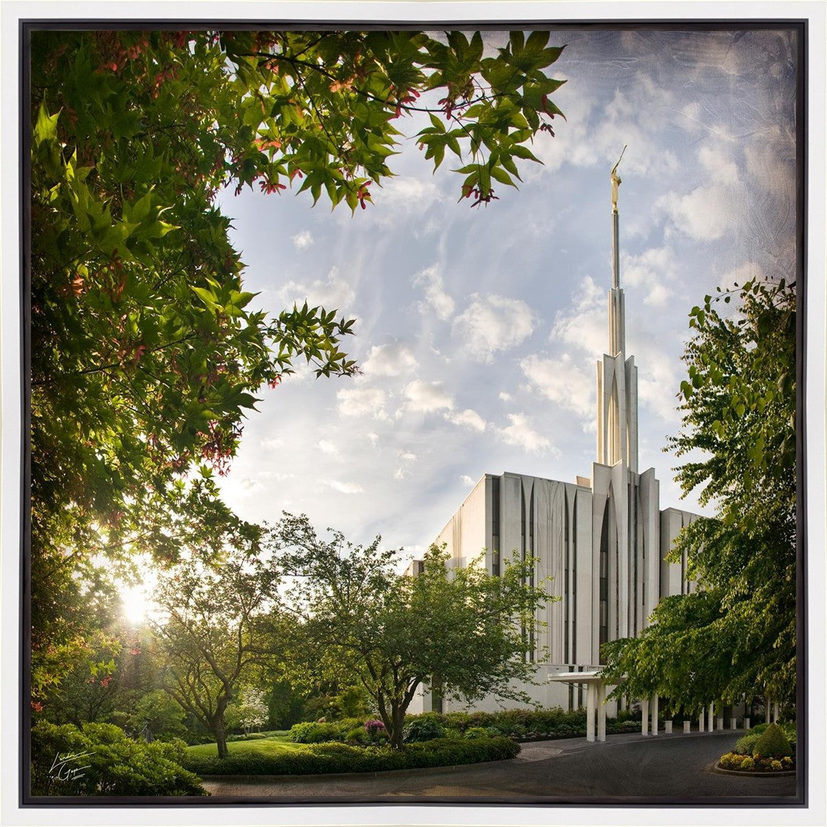 Seattle Brightness and Glory