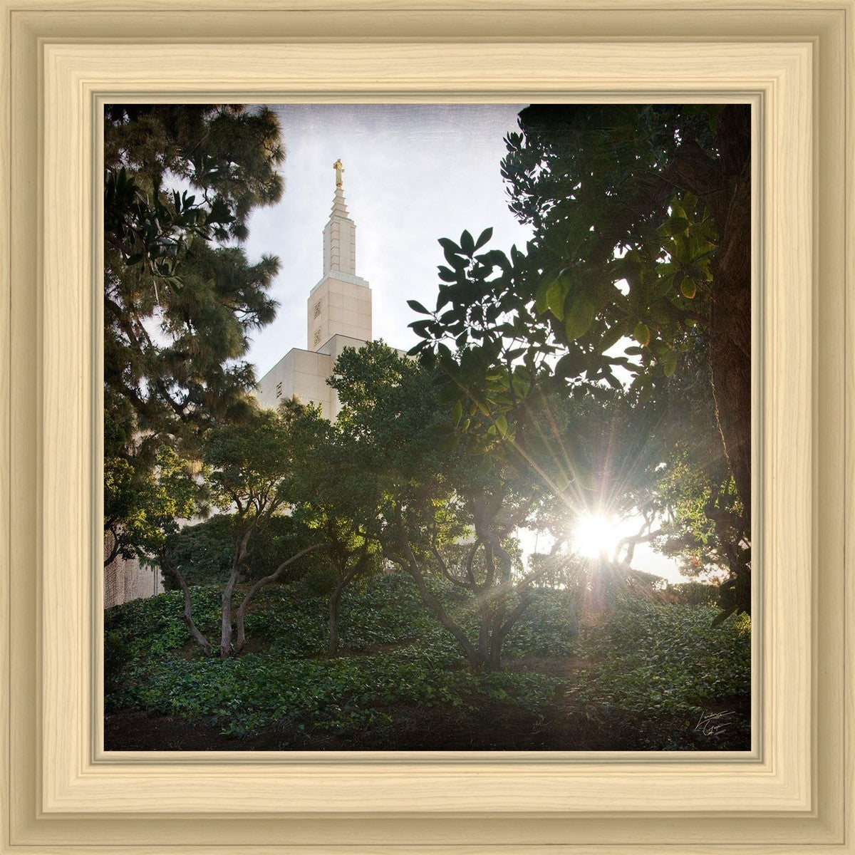 Los Angeles Brightness and Glory
