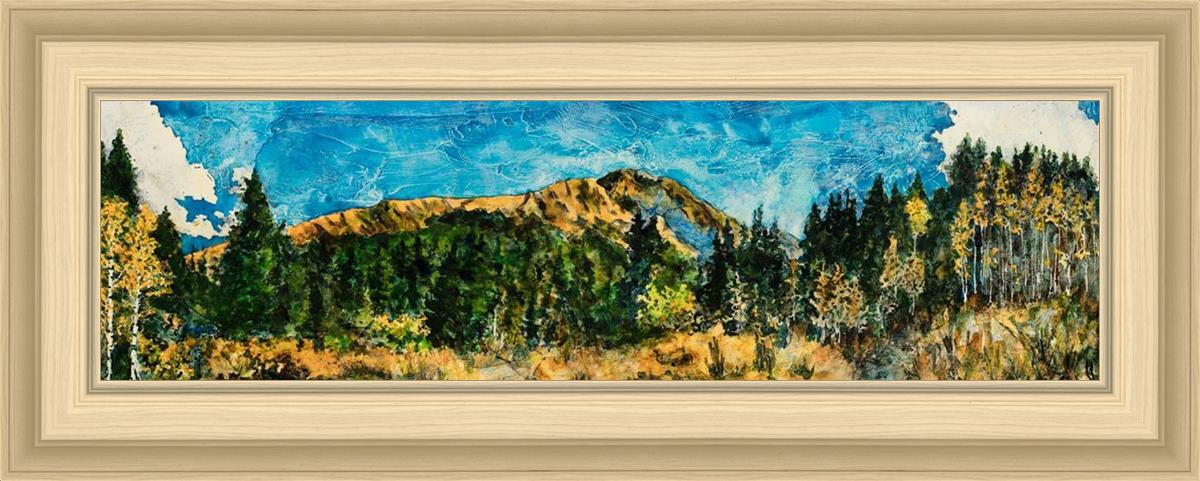 Mountain Meadow