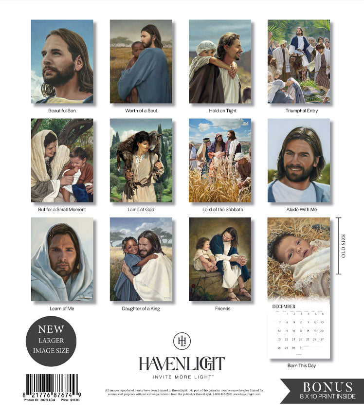 2026 Liz Lemon Swindle Calendar