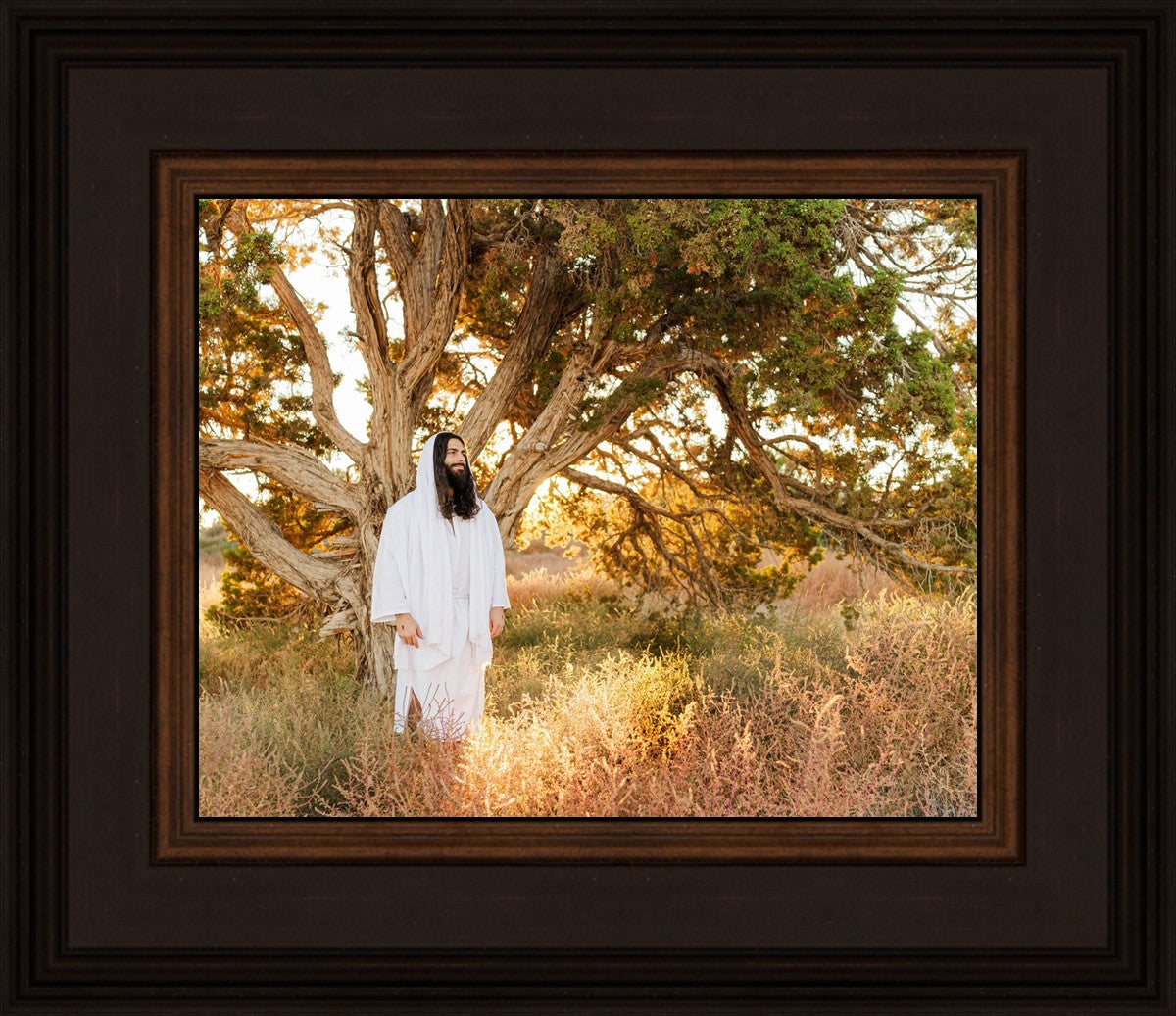 Our Tree of Life