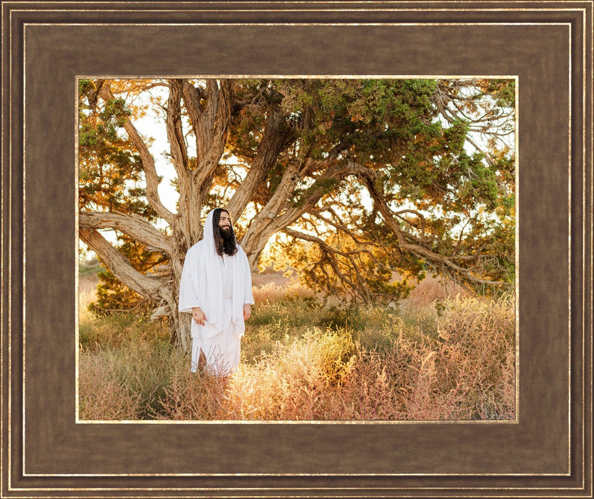 Our Tree of Life