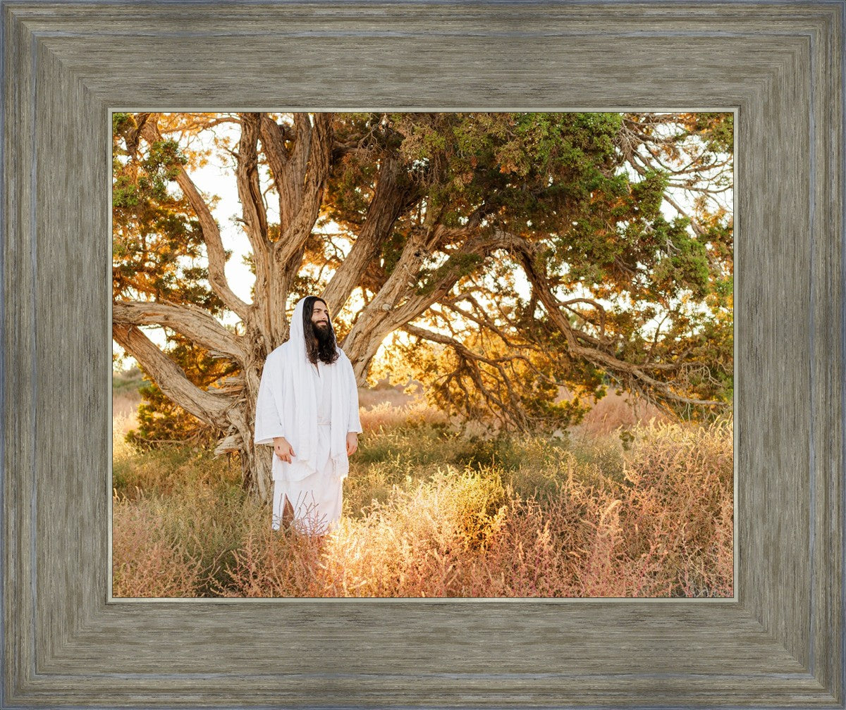 Our Tree of Life
