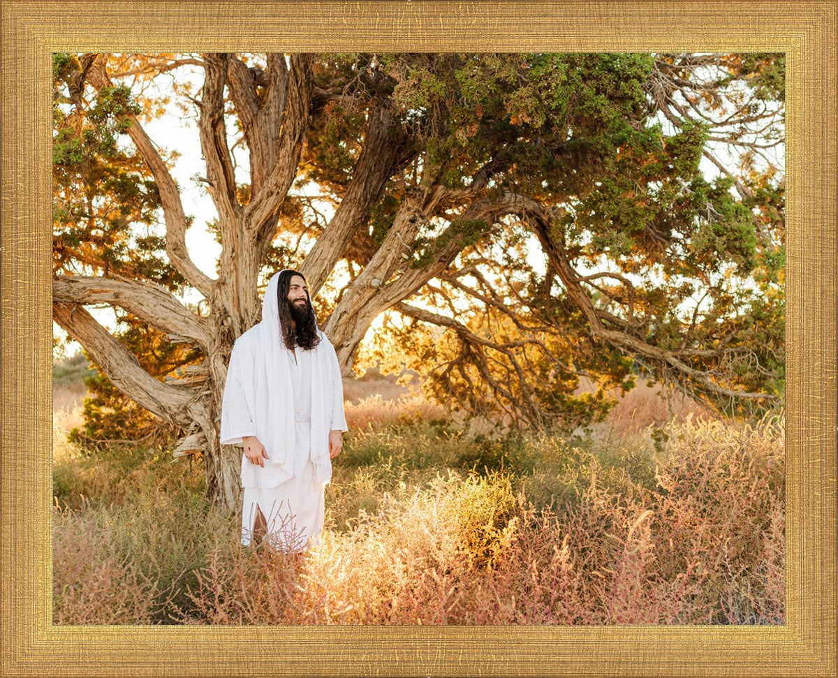 Our Tree of Life