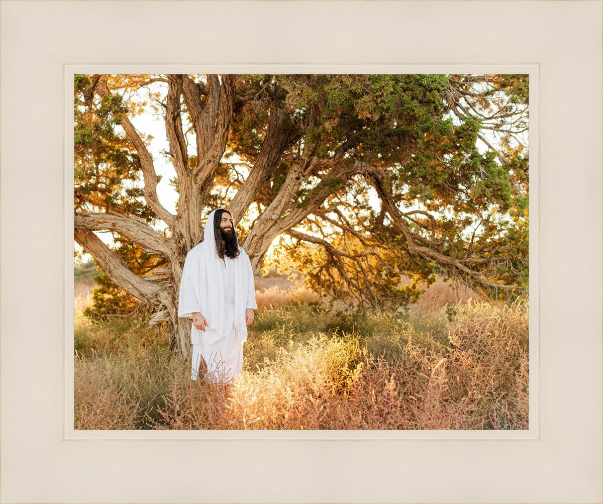 Our Tree of Life