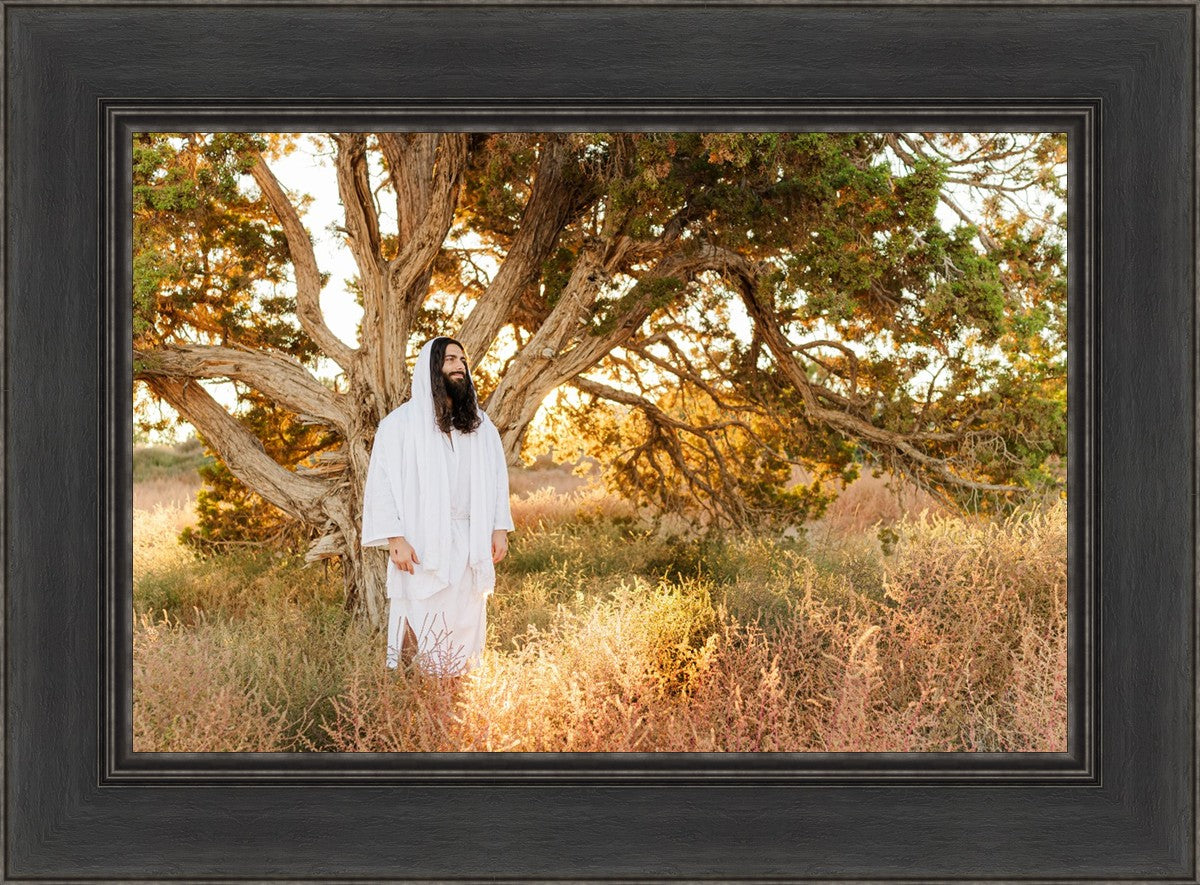 Our Tree of Life