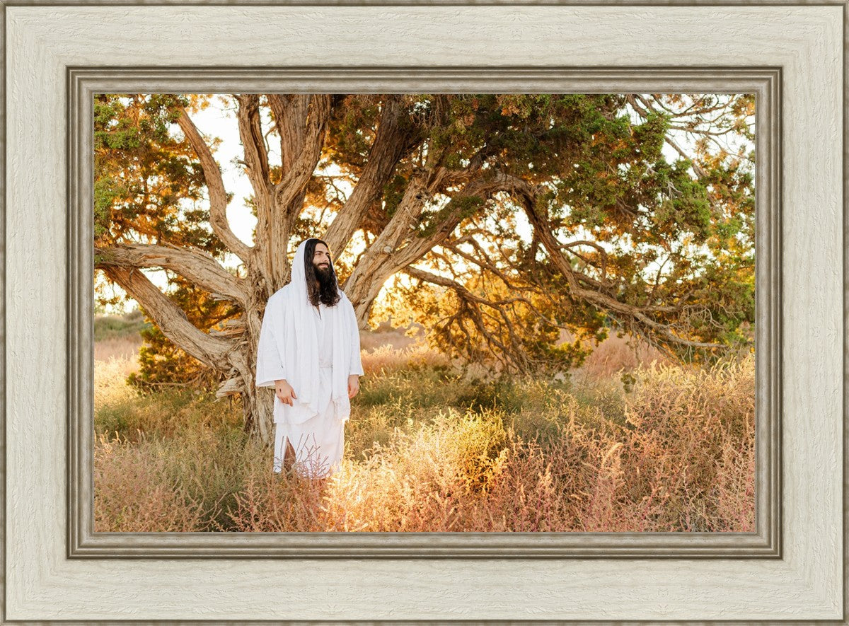 Our Tree of Life