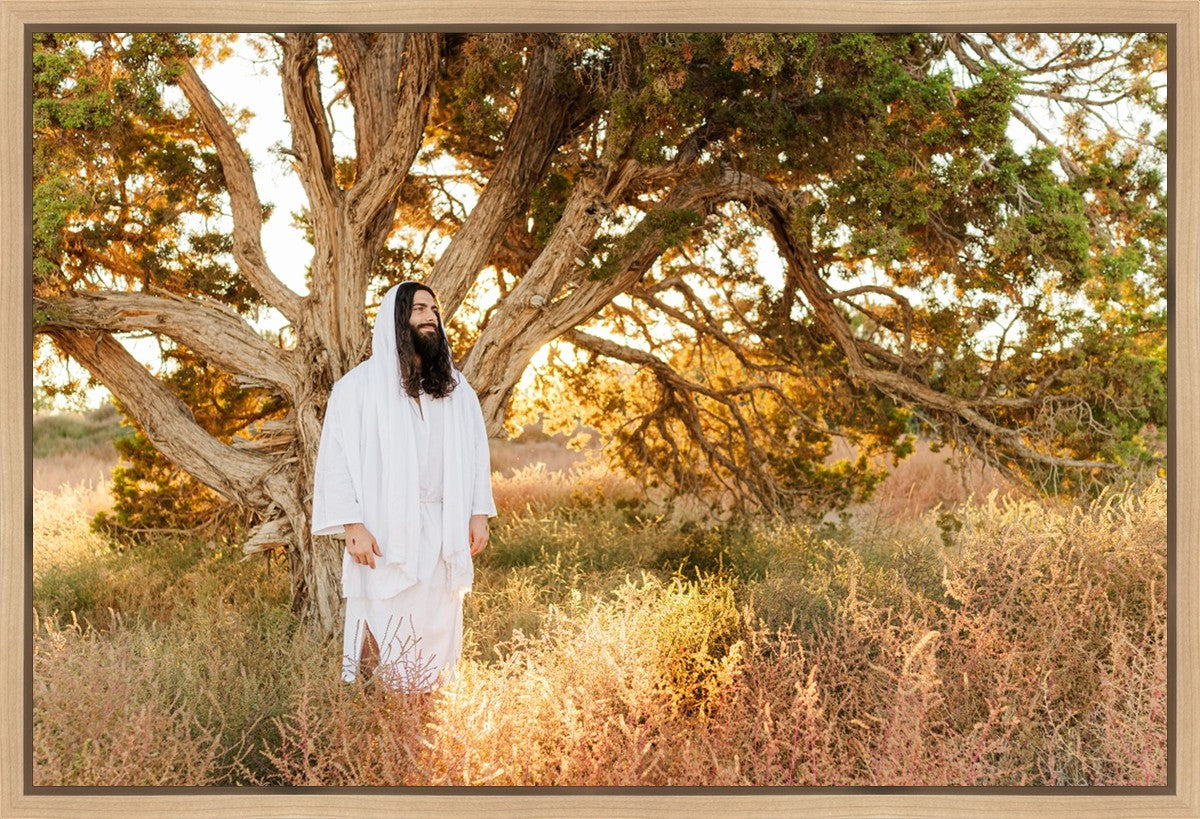 Our Tree of Life Gallery Wrap