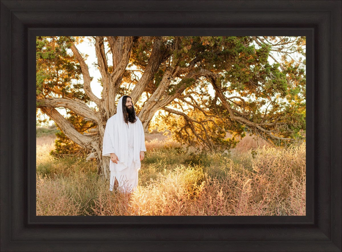 Our Tree of Life