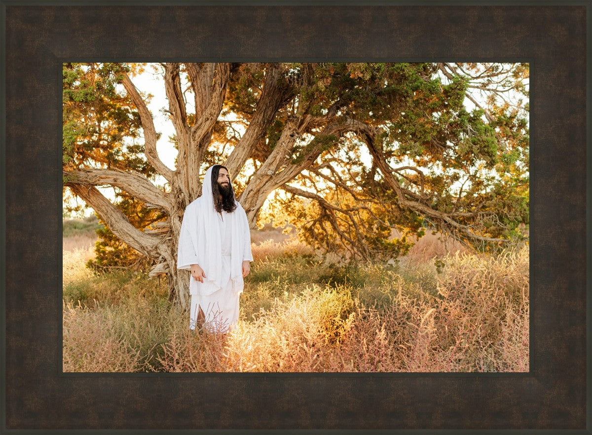 Our Tree of Life